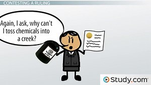 Government Regulation of Administrative Agencies: Pros & Cons, and Examples