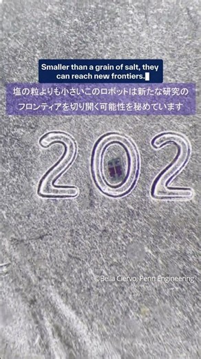 【びっくりサイエンス】世界最小のプログラム可能な自律型ロボットを米研究チームが開発