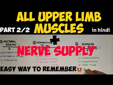 Nerve Supply of all Upper Limb muscles | Upper Limb muscles | Anatomy