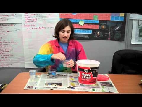 How to Make Fossils Using Plaster of Paris