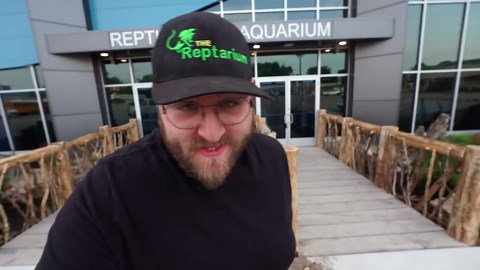 Meet the Giant Green Anaconda in Its New Zoo Home