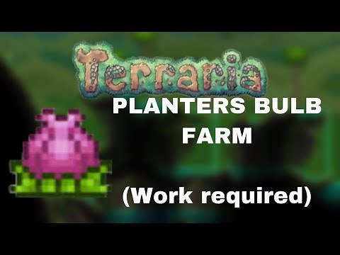 How to make a Plantera Bulb Farm 1.4 (All Platfroms)