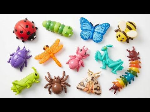 Insects for Kids: Butterfly & Ladybug Facts Explained | Learning Videos For Toddlers