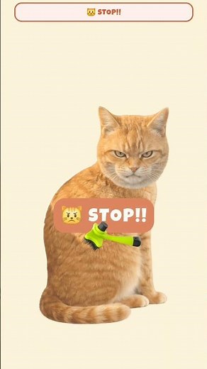 Brush Jjaemu: Brush The Cat #catgames #shorts