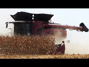 Case IH AF10 Combine Harvesting Corn with 16-row Corn Header