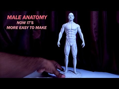 Male Human Anatomy Sculpture making with Clay / More easy to make now