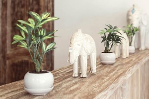 Where to Place Good Luck Elephant Statues in Feng Shui | LoveToKnow