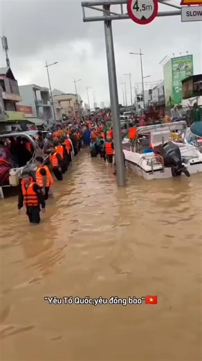 Tự Hào Dân Tộc Việt Nam: Tình Đồng Bào và Đồng Hành