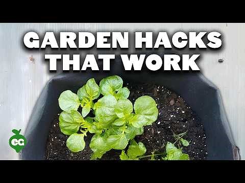5 Gardening Tips That Actually Work