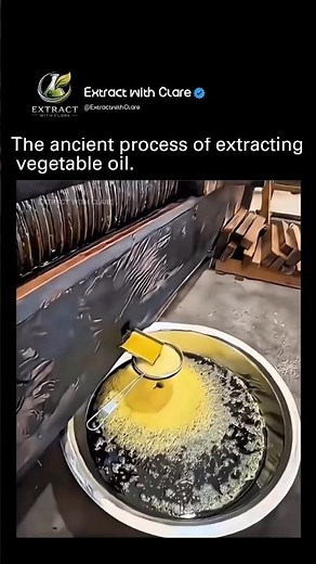 How Ancient Villagers Extracted Vegetable Oil Without Machines! 🛢️🌱