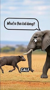 Why Elephants Show Mercy to Baby Animals