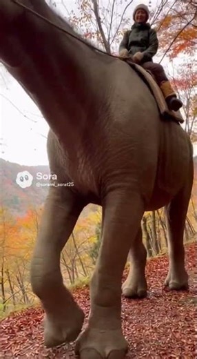 パラケラテリウム紅葉狩り #古代生物 #パラケラテリウム #AI