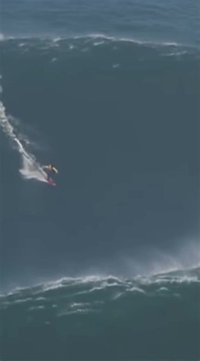 surfing on TikTok