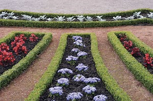 How to Do a Pebble and Epoxy Walkway