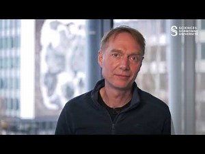 La licence d'Informatique