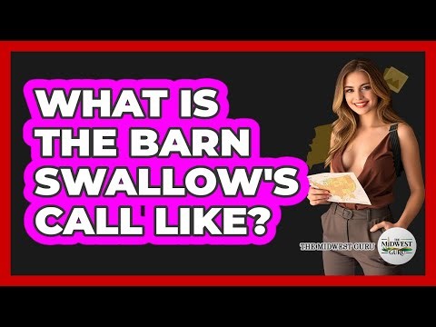 What Is The Barn Swallow's Call Like?