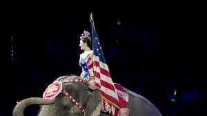 5.7K views · 265 reactions | Ringling Bros. and Barnum & Bailey want to wish you and your family a very happy and safe Fourth of July holiday! We’re proud to perform in the land of the free and the home of the brave! | Ringling Bros. and Barnum & Bailey | Facebook