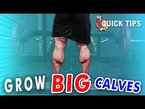 The BEST Practices For Calf Training