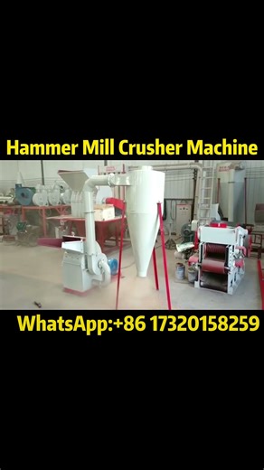 Hammer Mill Crusher | High-Efficiency Grinding & Crushing Machine#hammermill #crusher