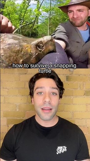 How to Survive a Snapping Turtle Bite #SnappingTurtle #Turtle #Shorts