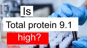 Is Total protein 9.1 high, normal or dangerous? What does Total protein level 9.1 mean?