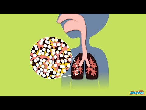 The Respiratory System - Human Body Parts | Science for Kids | Educational Videos by Mocomi