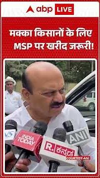 मक्का किसानों के लिए MSP पर खरीद जरूरी! |ABPLIVE