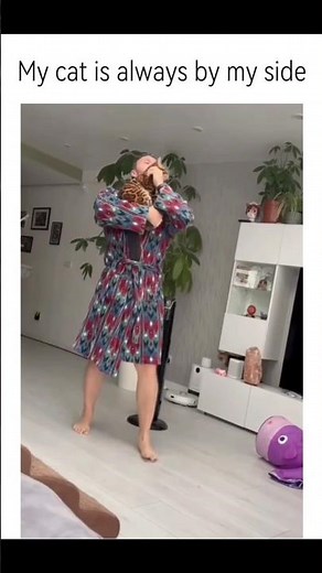 Funny cat videos part 3: Clingy Cat 🤣 #funnycat #funnypet #cutecat #cat #cats #pets #shorts