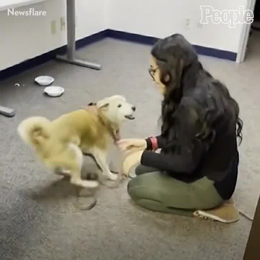 Back together again. | People