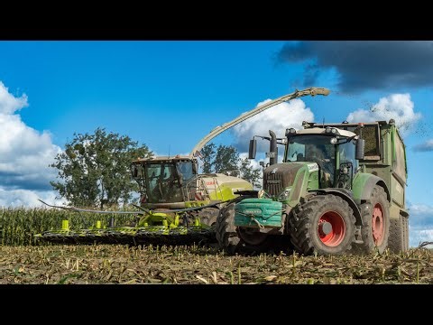 Mais häckseln mit Osters und Voss in Mecklenburg Vorpommern 🤩