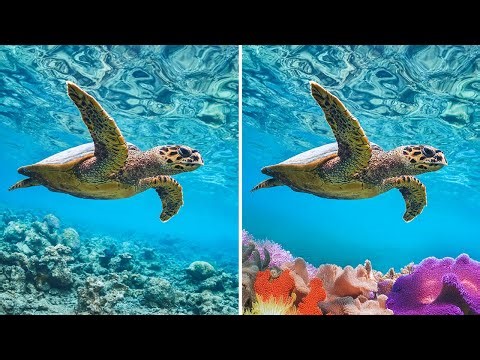 Insert Object: Add anything you can imagine.