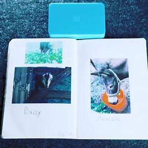 24K views · 3 comments | Your trip may have ended, but you can bring...