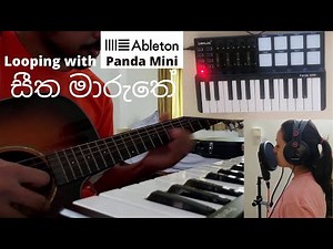 Looping with Worlde Panda Mini & My Guitar in Ableton | Seetha Maruthe Midi Keyboard Cover