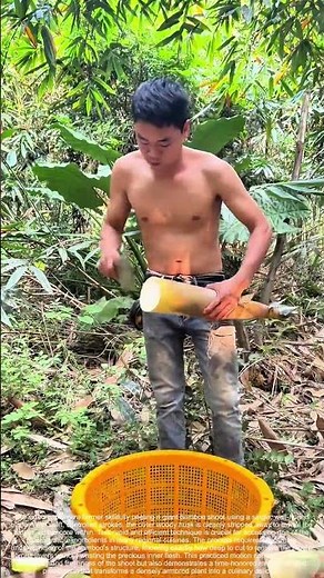 Sheathing the Shoot: The Bladed Skill Behind Bamboo's Bounty