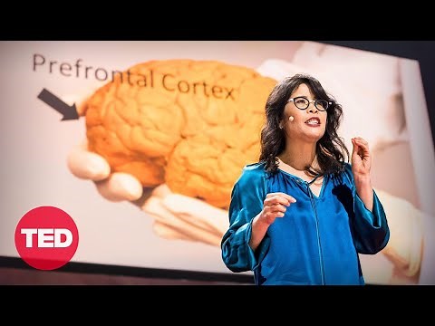 The Brain-Changing Benefits of Exercise | Wendy Suzuki | TED