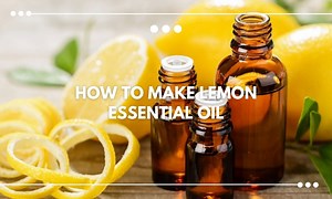 How to Make Lemon Essential Oil: 2 Methods – BALM Aromatherapy