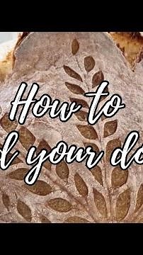 Visual cues to read your sourdough during bulk fermentation | How to know when your dough is ready!