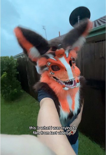 it didn’t even turn out well 🥀 also ignore my mouth i wasn’t bothered to put on my balaclava 🎃🍁 [🏷️]#justiceforbannedfurries #pumpkinthefurry #furries #furry #fursona #fursuiter #foryoupage #foryou #fyp #fypシ゚viral #pumpkin #dinomask #dinosaurmask #furrryy #furrytiktok #fursuiter #foryoupageofficiall #fypage #floofy #fluffy #dinosaurmasker #dinomaskfurry #LGBTQIA #LGBTQ #lgbt🌈