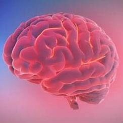 This is what happens to your brain when you get a migraine 🧠🤯 | BBC World Service