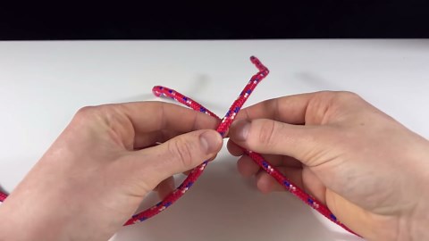 Unlocking the Art of a Mysterious Knot