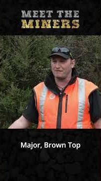 Restoration of the beech forest