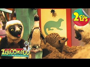 Sand Creatures + Water Creatures | Zoboomafoo - Double Feature | Full Episodes 33 + 34
