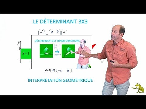 Determinant 3x3