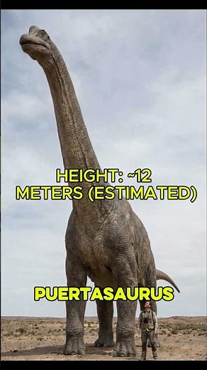 Top 5 Tallest Dinosaurs Ever Discovered