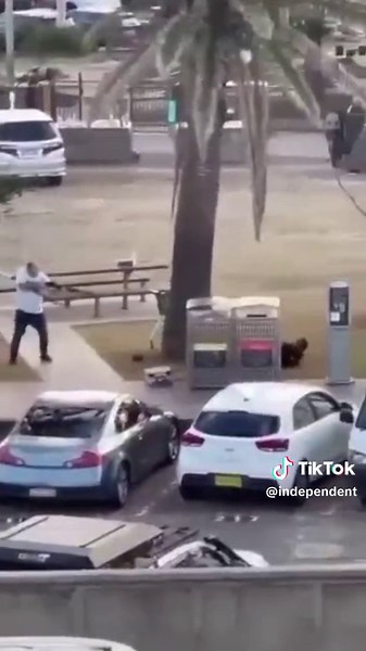 This is the moment a bystander tackled an alleged gunman to the ground during the Bondi Beach mass shooting. Footage appears to show a man tackling one of the gunmen before taking his gun and pointing it at him, forcing the alleged attacker to retreat. New South Wales Police have confirmed that 10 people have died in the shooting, including one gunman. The other gunman is in police custody and injured. A further 11 people have been injured in the shooting, two of whom are police officers, accord