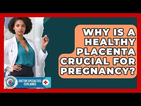 Why Is A Healthy Placenta Crucial For Pregnancy? - Doctor Specialties Explained