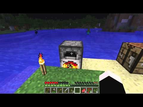 How to cook Raw Food in Minecraft