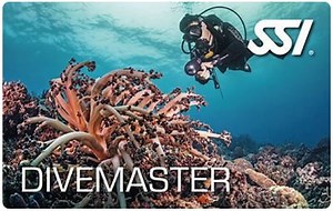 Dive Master Course - Level up Diving Career | Scuba World