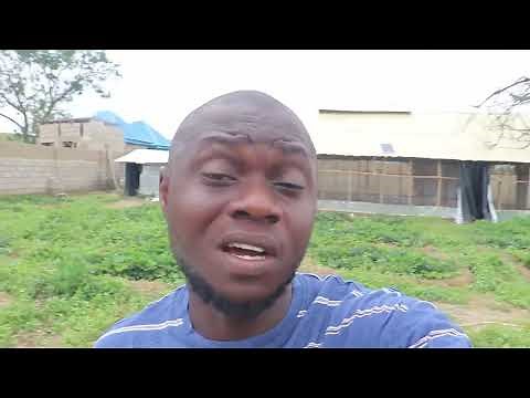 HOW TO CONSTRUCT A POULTRY HOUSE