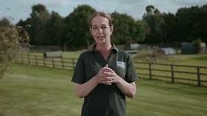 Why is my dog barking and lunging at other dogs?